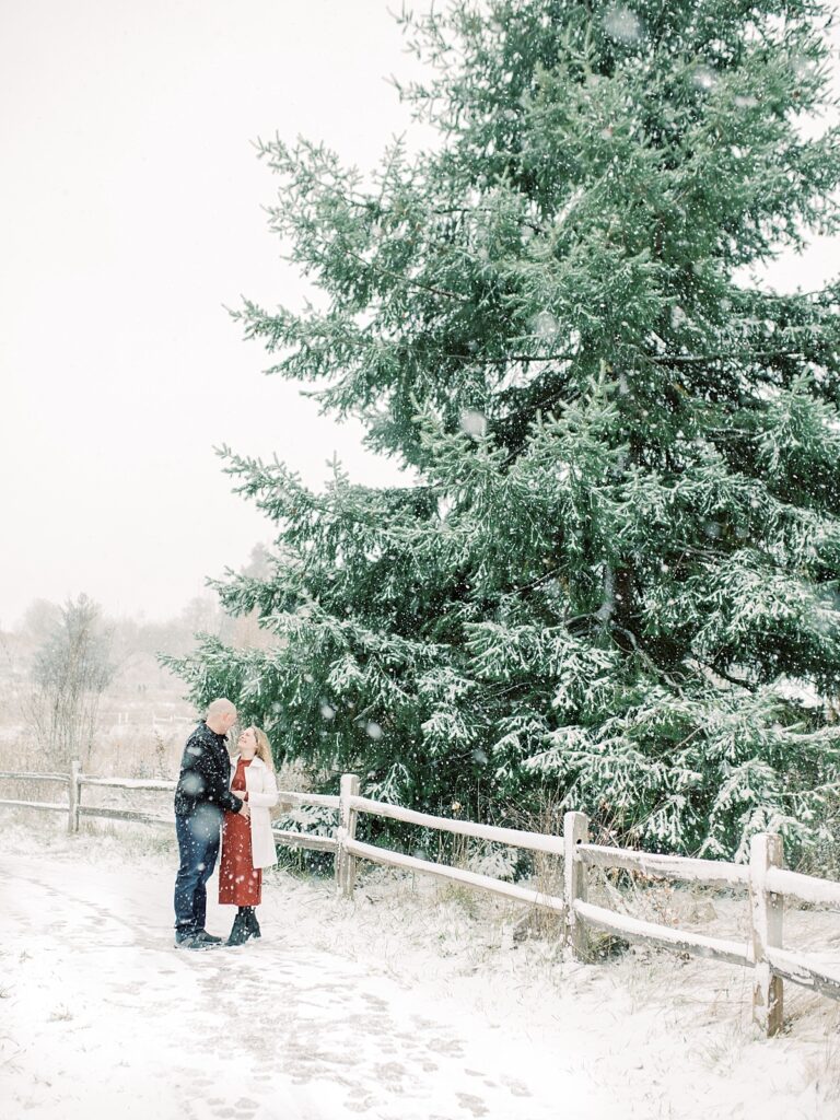 Pulled back image of snowy pine tree with couple standing in front of wooden snow covered fencing for winter maternity session by Portland maternity photographer Emilie Phillipson Photography. 