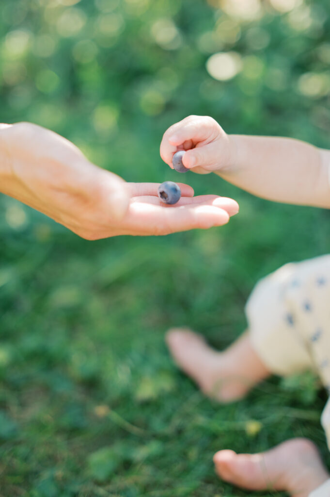 In-Home Family and Newborn Photographer Emilie Phillipson Photography Home gardening for busy moms
